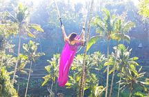 Ubud Full Day Tour: Private and Customizable