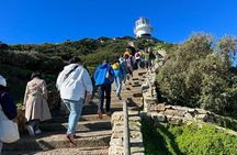  Cape Peninsula &Penguin Sightseeing in Private Car Full Day Tour