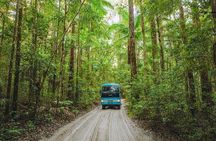 K'gari (Fraser Island) 5-Day Ultimate Tour From Hervey Bay