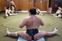 Sumo Practice Viewing Guided Tour and Photo with Sumo Wrestlers