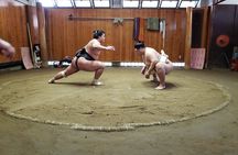 Sumo Practice Viewing Guided Tour and Photo with Sumo Wrestlers