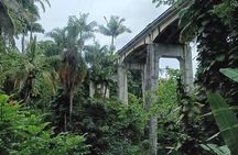 Private Shore Excursion Hilo Land of Frozen Fire up to 14