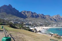 Cape of Good hope, Boulders and Chapman Peak Full Day Tour
