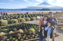 Mt. Fuji and Hakone Private Tour with English Speaking Driver