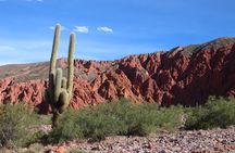 8 Days Private Salta and the North West Luxury Tour in Argentina 