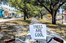 New Orleans Creole History and Culture Ride