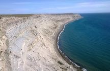 Experience 4x4 in Punta Ninfas