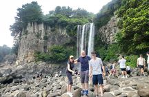 Private Day Tour A lot of Experienced Jumbo Taxi Driver in jeju 