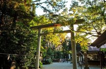 Day Tour to Miyazaki Takachiho Gorge & Shrine depart from Fukuoka