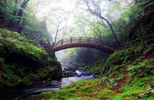Day Tour to Miyazaki Takachiho Gorge & Shrine depart from Fukuoka