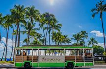7 Day Pass LeaLea Trolley and Waikiki Trolley Pink Line