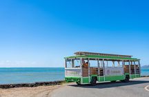 7 Day Pass LeaLea Trolley and Waikiki Trolley Pink Line