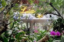 Chiang Mai-Chiang Rai: White Temple-Blue Temple-Lalita Cafe