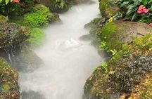 Chiang Mai-Chiang Rai: White Temple-Blue Temple-Lalita Cafe