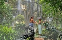 Chiang Mai-Chiang Rai: White Temple-Blue Temple-Lalita Cafe