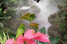 Chiang Mai-Chiang Rai: White Temple-Blue Temple-Lalita Cafe