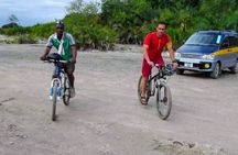 Kikuletwa Chemka Hot Springs Bicycle or Tuk Tuk Day Trip