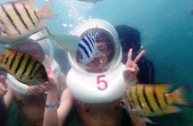 PATTAYA: Join Tour CORAL ISLAND Sea Walker program