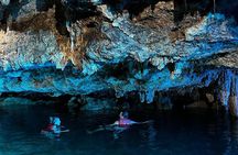 Mayan Showers: Guided Cenotes Experience + Lunch