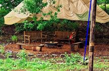 Yoga & Forest Bathing Day Retreat