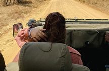 From Zanzibar: Mikumi Safari Day Trip with Flights and Meal