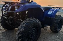 Private-Doha Half Day Safari/ Quad Bike and Camel Ride included 