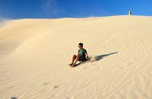 Doha Desert Safari Full day With Dinner,Dune Bashing,Sandboarding
