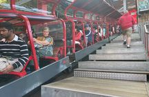 Private Day Trip to Featherdale, Scenic World and Three Sisters