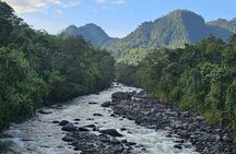 2 Day Mindo Cloud Forest Birdwatching Tour from Quito
