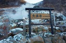 Mt. Fuji Hakone Ropeway and Oshino Hakkai Day Tour