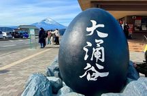 Mt. Fuji Hakone Ropeway and Oshino Hakkai Day Tour