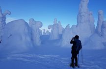 Riisitunturi National Park Snowshoe Experience