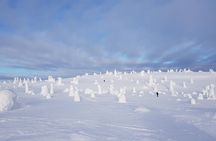 Riisitunturi National Park Snowshoe Experience