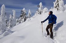 Riisitunturi National Park Snowshoe Experience