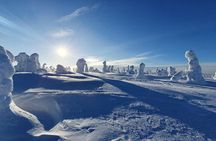 Riisitunturi National Park Snowshoe Experience
