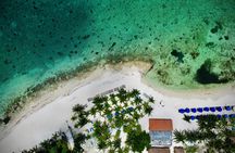 Cozumel: Shore Excursions for Royal Caribbean Cruise Passengers