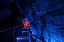 Ruakuri Cave and Hamilton Gardens Private Day Tour from Auckland