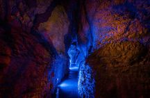 Ruakuri Cave and Hamilton Gardens Private Day Tour from Auckland