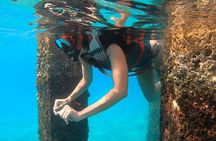 VIP San Juan: Snorkeling Tour with Turtles with Free Videos