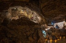 Ruakuri Cave and Hamilton Gardens Private Day Tour from Auckland