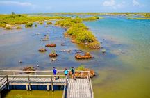 Private Jeep & ATV Tour to Jade Cavern in Cozumel: All-Inclusive