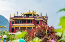 Afternoon Tibetan Cultural Tour to Tibetan Settlements Pokhara