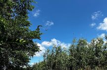 Explore Wetlands and Nature Reserve from Can Tho