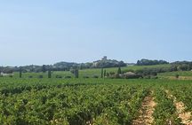 Wine and Romans