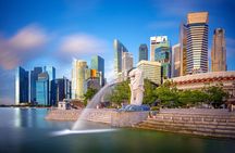 Half Day Singapore Exploration from Cruise Port