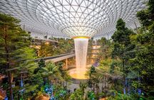 Half Day Singapore Exploration from Cruise Port