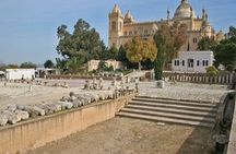 From Port La Goulette: Private Day Trip to Tunis 