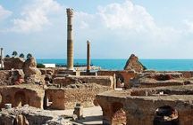 From Port La Goulette: Private Day Trip to Tunis 
