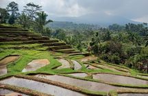 Bali Tanah Lot, Ulun Danu Beratan & Jatiluwih Rice Terrace