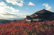Full Day Tour of Kyoto with Private Transportation